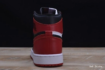 JORDAN AIR 338 RETRO 1 DailyWear 1010